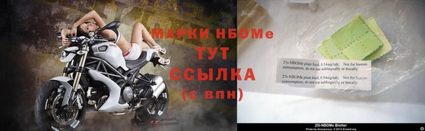 индика Алзамай