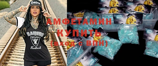 индика Алзамай