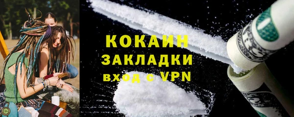 индика Алзамай